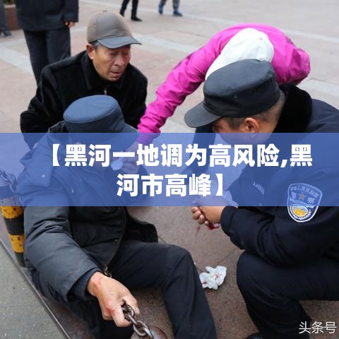 【黑河一地调为高风险,黑河市高峰】 【黑河一地调为高风险,黑河市高峰】