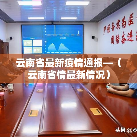 云南省最新疫情通报—（云南省情最新情况）