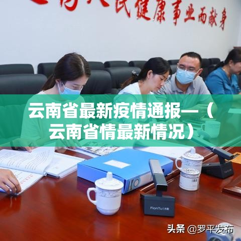 云南省最新疫情通报—（云南省情最新情况）