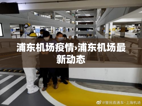 浦东机场疫情›浦东机场最新动态