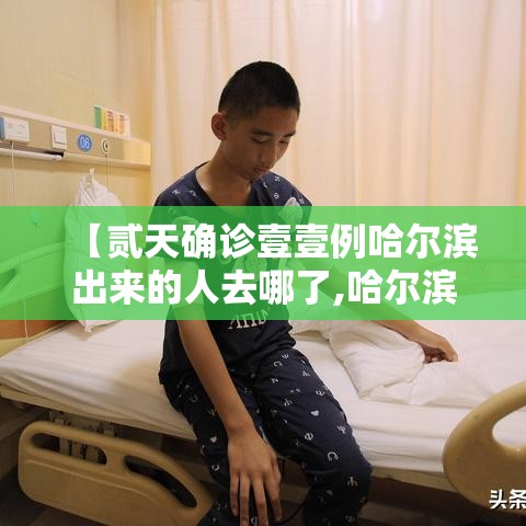 【贰天确诊壹壹例哈尔滨出来的人去哪了,哈尔滨一起】