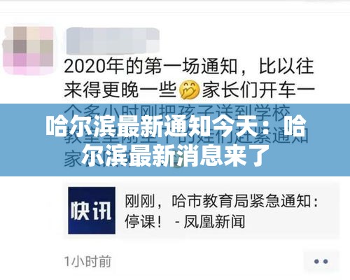 哈尔滨最新通知今天：哈尔滨最新消息来了