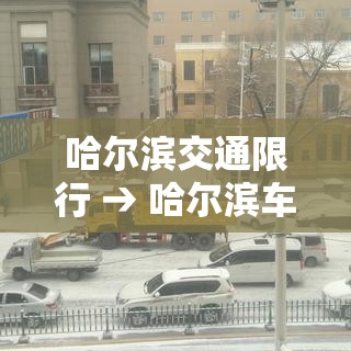 哈尔滨交通限行 → 哈尔滨车限行时间查询