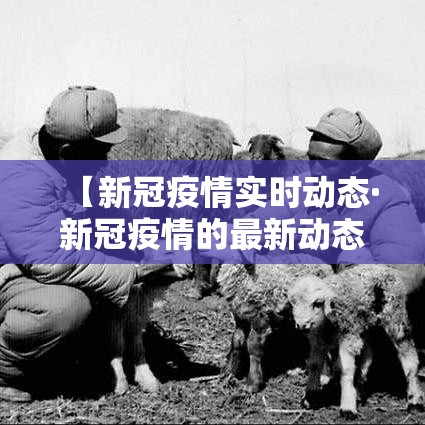 【新冠疫情实时动态·新冠疫情的最新动态】