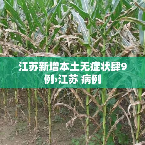 江苏新增本土无症状肆9例›江苏 病例 江苏新增本土无症状肆9例›江苏 病例