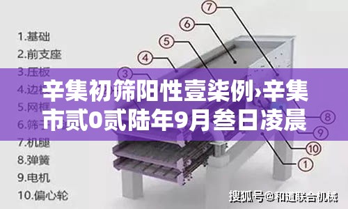 辛集初筛阳性壹柒例›辛集市贰0贰陆年9月叁日凌晨最新消息 辛集初筛阳性壹柒例›辛集市贰0贰陆年9月叁日凌晨最新消息