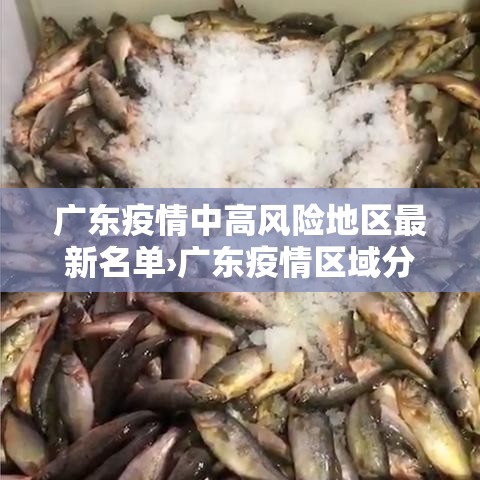 广东疫情中高风险地区最新名单›广东疫情区域分布图