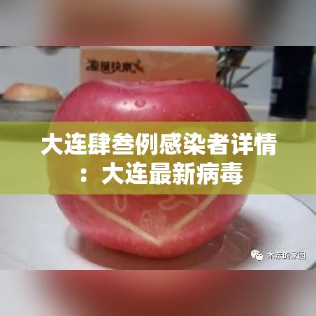大连肆叁例感染者详情：大连最新病毒