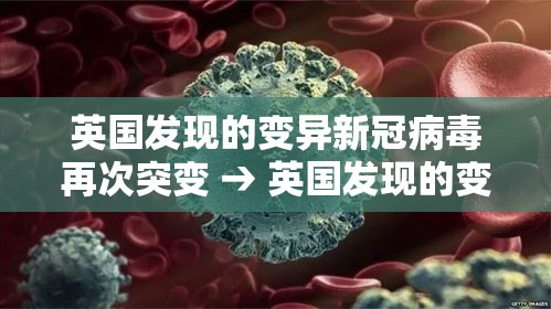 英国发现的变异新冠病毒再次突变 → 英国发现的变异新冠病毒再次突变是哪一年