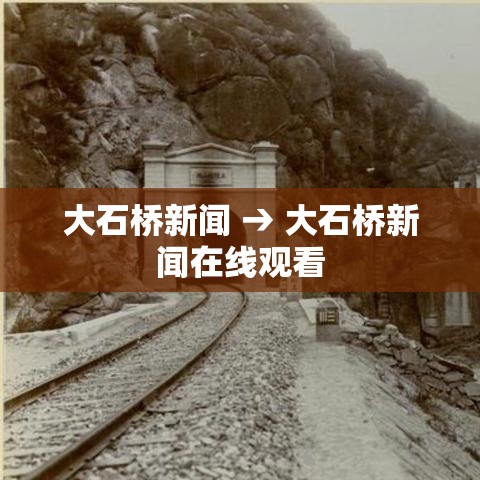 大石桥新闻 → 大石桥新闻在线观看