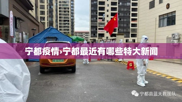 宁都疫情›宁都最近有哪些特大新闻 宁都疫情›宁都最近有哪些特大新闻