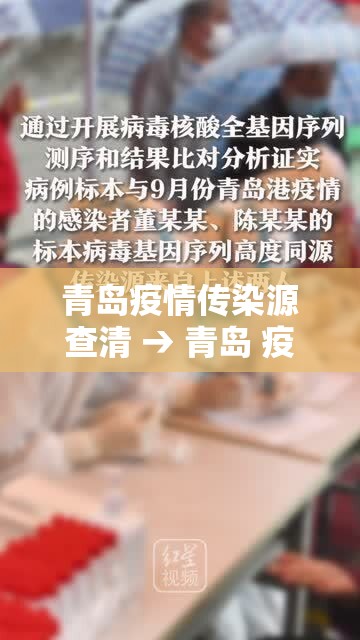 青岛疫情传染源查清 → 青岛 疫情
