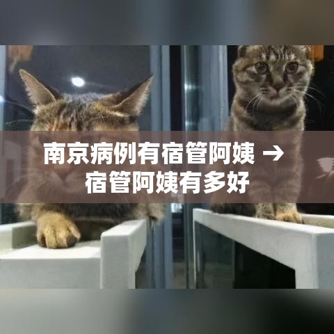 南京病例有宿管阿姨 → 宿管阿姨有多好