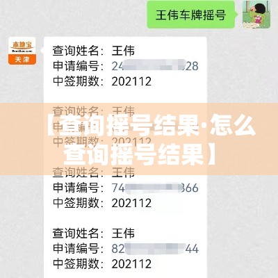 【查询摇号结果·怎么查询摇号结果】