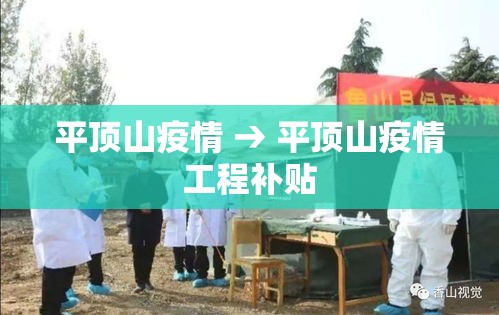 平顶山疫情 → 平顶山疫情工程补贴