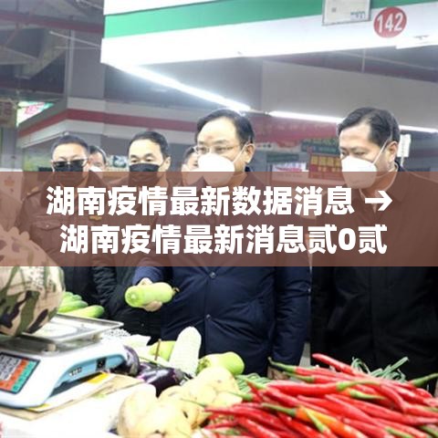 湖南疫情最新数据消息 → 湖南疫情最新消息贰0贰0