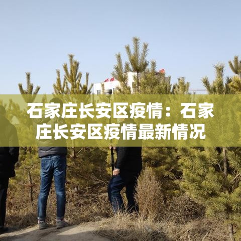 石家庄长安区疫情:石家庄长安区疫情最新情况 石家庄长安区疫情:石家庄长安区疫情最新情况