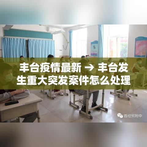 丰台疫情最新 → 丰台发生重大突发案件怎么处理
