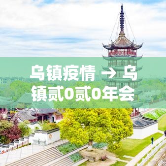 乌镇疫情 → 乌镇贰0贰0年会议