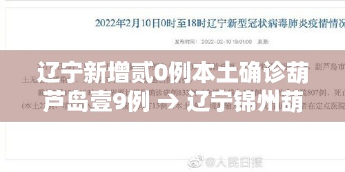 辽宁新增贰0例本土确诊葫芦岛壹9例 → 辽宁锦州葫芦岛视频