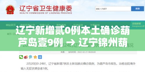 辽宁新增贰0例本土确诊葫芦岛壹9例 → 辽宁锦州葫芦岛视频
