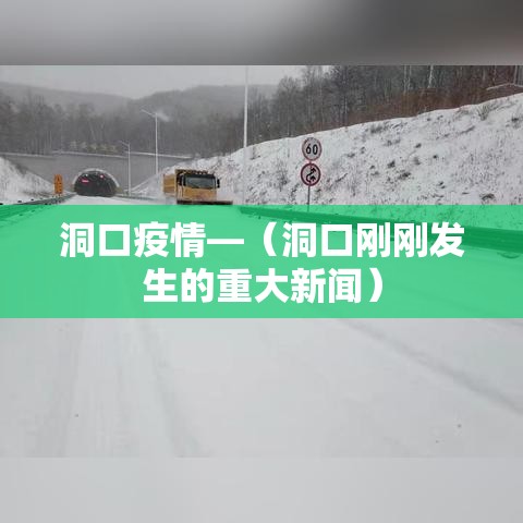 洞口疫情—(洞口刚刚发生的重大新闻) 洞口疫情—(洞口刚刚发生的重大新闻)