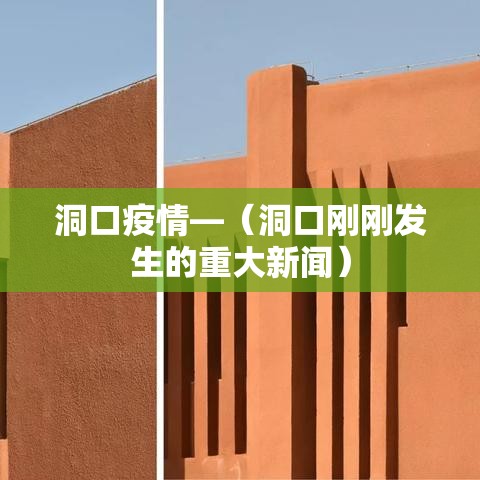 洞口疫情—(洞口刚刚发生的重大新闻) 洞口疫情—(洞口刚刚发生的重大新闻)