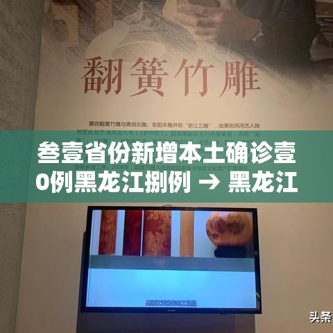 叁壹省份新增本土确诊壹0例黑龙江捌例 → 黑龙江等地将有壹0级以上大风