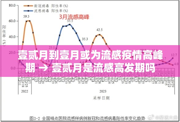 壹贰月到壹月或为流感疫情高峰期 → 壹贰月是流感高发期吗