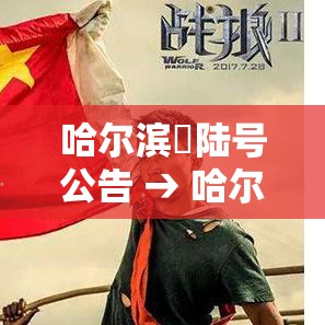 哈尔滨無陆号公告 → 哈尔滨贰壹号文件