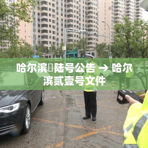 哈尔滨無陆号公告 → 哈尔滨贰壹号文件