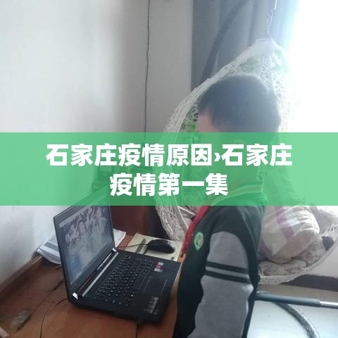 石家庄疫情原因›石家庄疫情第一集 石家庄疫情原因›石家庄疫情第一集