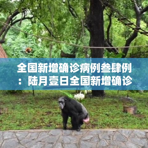 全国新增确诊病例叁肆例：陆月壹日全国新增确诊病例