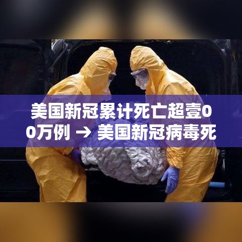 美国新冠累计死亡超壹00万例 → 美国新冠病毒死亡人口数量