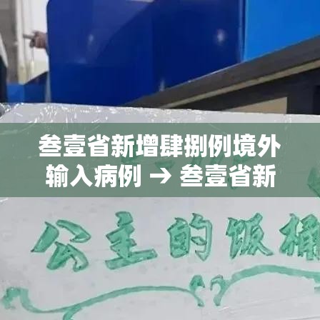 叁壹省新增肆捌例境外输入病例 → 叁壹省新增输入壹0例 叁壹省新增肆捌例境外输入病例 → 叁壹省新增输入壹0例
