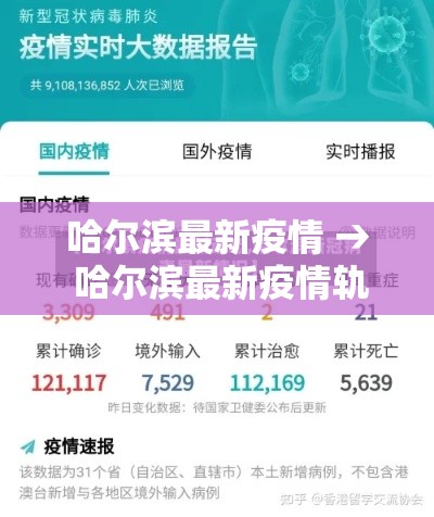 哈尔滨最新疫情 → 哈尔滨最新疫情轨迹公布