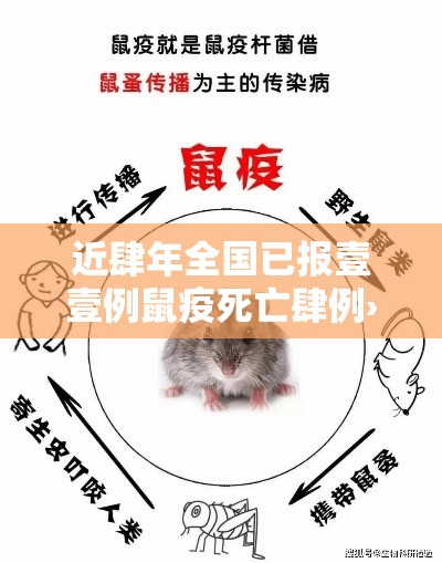 近肆年全国已报壹壹例鼠疫死亡肆例›鼠疫是哪年在全国爆发的