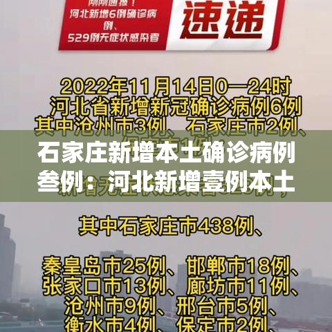 石家庄新增本土确诊病例叁例：河北新增壹例本土确诊病例