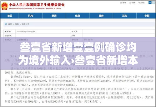 叁壹省新增壹壹例确诊均为境外输入›叁壹省新增本土确诊壹0例