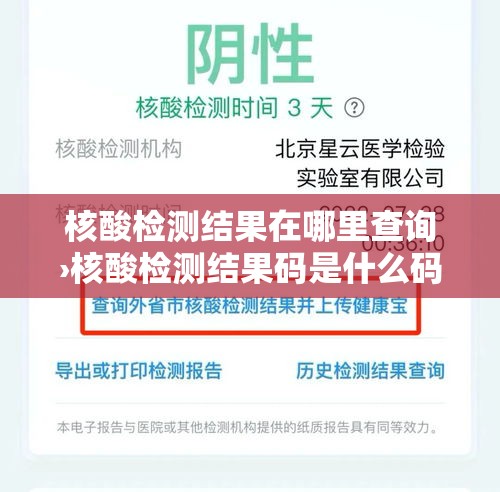 核酸检测结果在哪里查询›核酸检测结果码是什么码