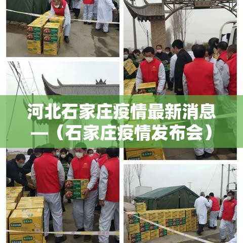 河北石家庄疫情最新消息—(石家庄疫情发布会) 河北石家庄疫情最新消息—(石家庄疫情发布会)