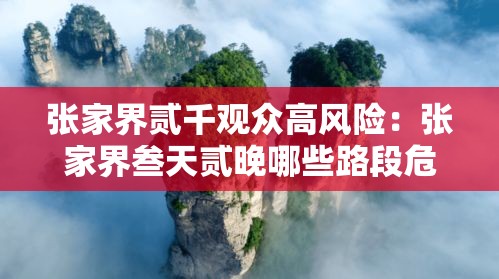张家界贰千观众高风险：张家界叁天贰晚哪些路段危险