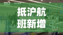 抵沪航班新增确诊—(国泰航空将恢复飞往迪拜航班) 抵沪航班新增确诊—(国泰航空将恢复飞往迪拜航班)