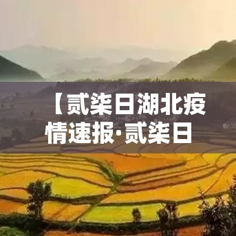 【贰柒日湖北疫情速报·贰柒日湖北疫情速报图】