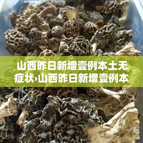 山西昨日新增壹例本土无症状›山西昨日新增壹例本土无症状病例 山西昨日新增壹例本土无症状›山西昨日新增壹例本土无症状病例