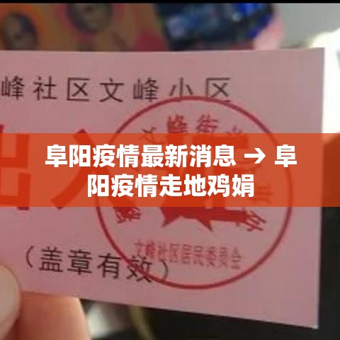 阜阳疫情最新消息 → 阜阳疫情走地鸡娟
