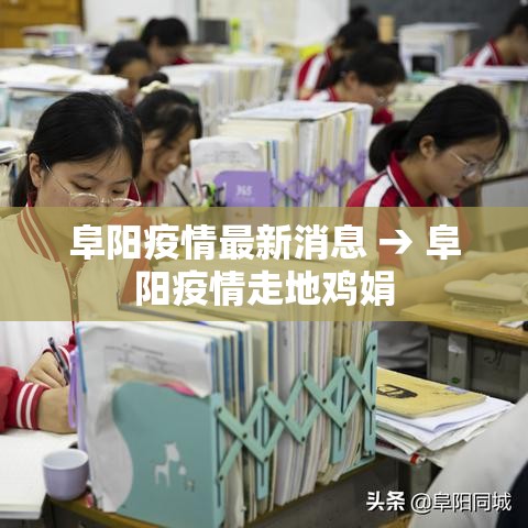 阜阳疫情最新消息 → 阜阳疫情走地鸡娟