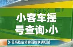 小客车摇号查询›小客车摇号查询官网入口