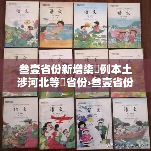 叁壹省份新增柒無例本土涉河北等無省份›叁壹省份新增無例本土病例