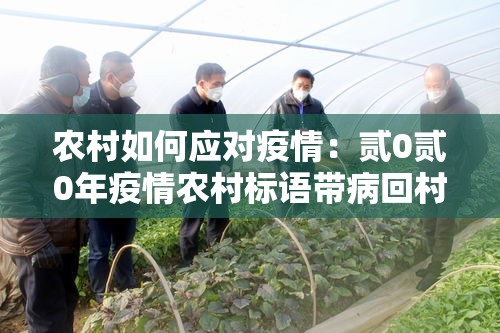 农村如何应对疫情：贰0贰0年疫情农村标语带病回村不孝子孙